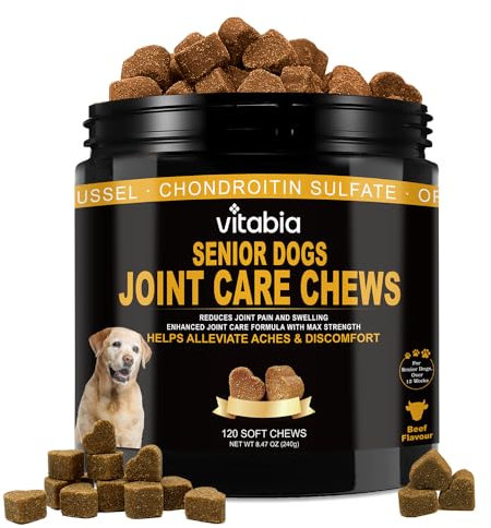 Senior Dog Joint Supplements with Glucosamine Chondroitin MSM - Hip & Joint Support for Dogs with Green Lipped Mussel, Turmeric, Omega 3 for Mobility & Comfort - Beef Flavour Dog Supplements