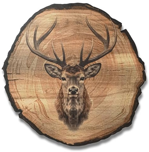 DARO Design - Wandbild Hirsch Größe 20cm - Kunstdruck aufhängefertig - Wanddekoration Thema Jagd, Natur, Tiere