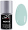 SN Nageldesign Menta UV Nagellack Gel mintgrün grün Gellack UV LED Shellack mint green Nail Polish Gel easy off Farbgel 10ml SN221
