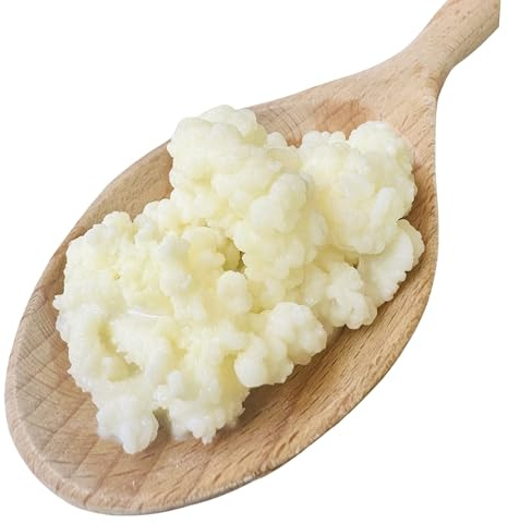 NatuDelight, Milk Kefir Grains, 1 TBSP Live Active Kefir Starter Culture, Natural Probiotic Culture Fresh for Homemade Kefir, Bulgaros de Leche, Pajaritos de Leche.
