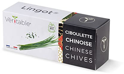Lingot® Ciboulette Chinoise BIO - Compatible Potager d'Intérieur Véritable® et Exky® - Recharge prête à l'emploi - Substrat avec Graines Intégrées…
