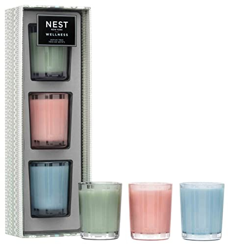NEST Fragrances Menta salvaje y eucalipto, madera de deriva y manzanilla, sal del Himalaya y agua de rosas Wellness Vela votiva perfumada trío