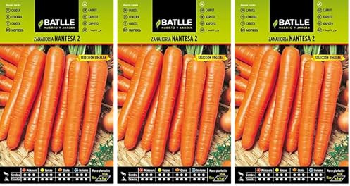 Semillas Batlle Zanahoria NANTESA 2 S. URGELBA (Paquete de 3)