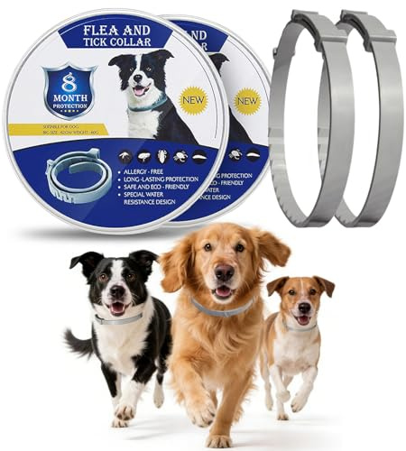 Collier antiparasitaire pour Chien, 2 Pièces, Imperméable et Ajustable, Huiles Essentielles Naturelles, Protection 16 Mois