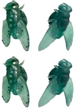 Orecchini realistici a forma di colofonia mosca nera, design creativo sottile e confortevole per tutti i giorni, unico ponte per orecchie da mosca nera, Misura unica, come descritto, come descritto