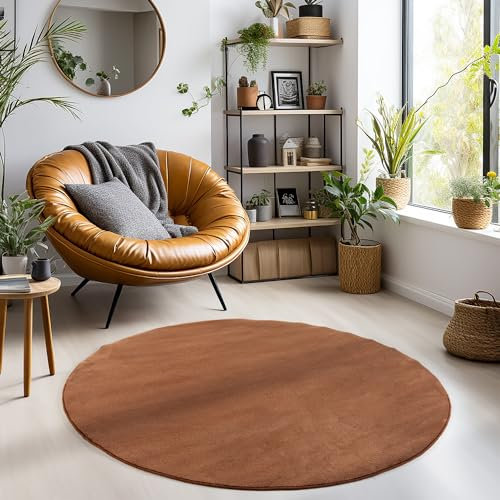Carpetsale24 Teppich Wohnzimmer Einfarbig Moderne Design Braun 200 cm Rund - rutschfest Kurzflor Teppich für Schlafzimmer Extra Weich und Flauschig - Waschbarer Teppich Esszimmer Küche