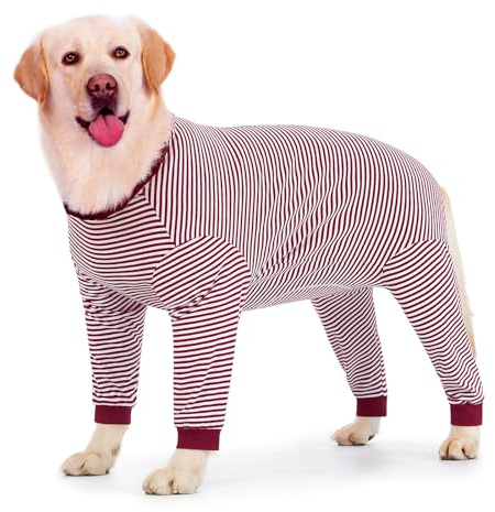 Axcimond Body per cani con gambe per cani di taglia grande e media taglia, op Body per cani castrazione, cagnolino dopo op, con chiusura lampo, per cani intero corpo, protezione contro le perdite per