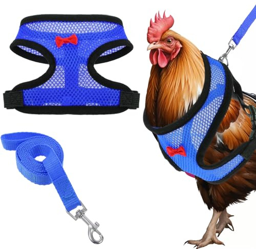1 imbracatura per polli con guinzaglio, accessori regolabili per pollo, comfort e durata, con corda da traino da 1 metro, per polli, anatre, oche e piccoli animali domestici (blu)