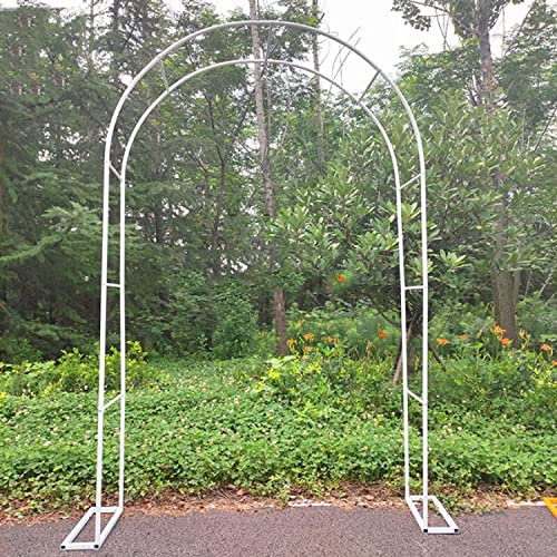 Arche de jardin en métal pour roses grimpantes - Tonnelle tubulaire robuste pour décoration de fête de mariage - Blanc (120 x 220 x 40 cm)