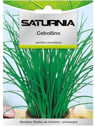 Semillas Aromaticas Cebollino (1 gramo) Horticultura, Horticola, Semillas Huerto.