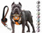 SLZZ Personalisiertes Hundegeschirr gegen Ziehen mit Leine mit Namen Telefonnummer, robust, reflektierend, weich gepolstert, mit einfachem Griff für kleine mittelgroße und große Hunde