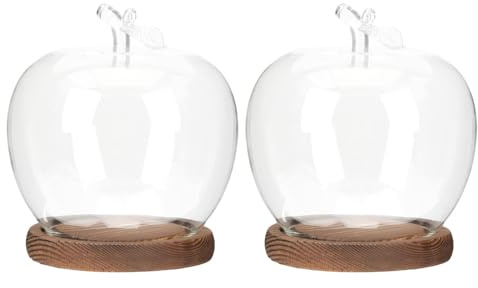 TOYANDONA Lot de 2 Cloches D'exposition en Verre Transparent avec Socle en Bois Vintage, Dômes Décoratifs Multifonctions pour Figurines, Plantes Sèches et Objets Artisanaux, Vitrine