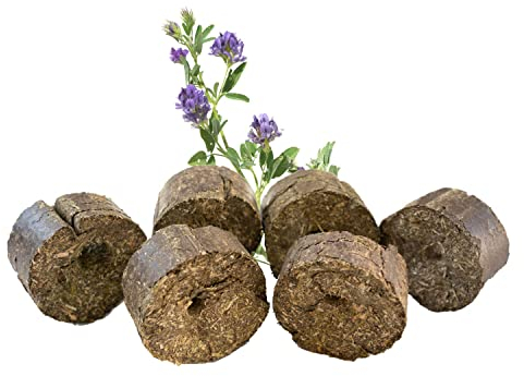 Lax Luzerne Blöcke mit Loch - 3kg Pack Luzerneblöcke mit Loch für Pferde I Nachfüllpack für Spielseil I Gesunde Raufutter Snacks aus 100% Luzerne