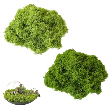 LILIKAI Kunstmoos Zum Basteln,Zum Basteln,Deko Künstlich,Grün Künstliches Deko,Fake Miniatur Pflanzen,Bastelmoos für Wanddekoration/Wand Krippe Aquarium Modellbau(Dunkelgrün 50g+Hellgrün 50g)