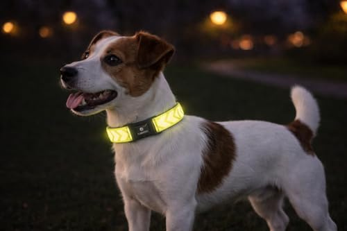 Collar Perro - Fergu Fluo Amarillo S - 30-45 cm - 15 mm - Nylon Regulable - Cierre de Clic - Reflectante