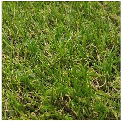 Rollo de Césped Artificial de 18 mm (1_X_2_Metros)