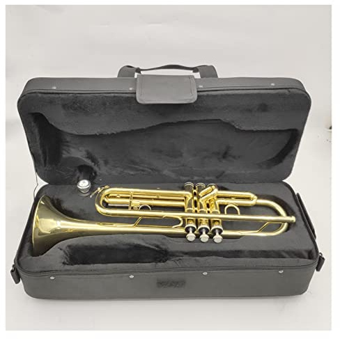 studenter Trumpet Ny Högkvalitativ B-flat Professionell Trumpet I Gyllene Ton Trumpet Mässingsinstrument Professionell Trumpetmunstycke trumpet (Color : 01)