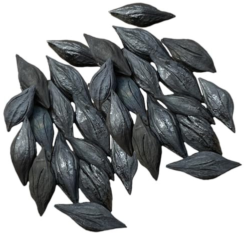 BESPORTBLE 5 Pièces 1 Briquettes De Charbon De Bois Charbon De Bois pour Griller Charbon De Bois en Morceaux Charbon De Bois à Griller en Plein Air Cuisinière Cheminée Charbon d'olive Black