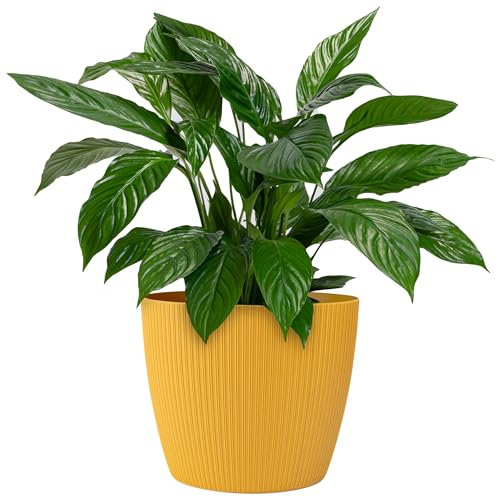 KONZEPT Grand pot de fleurs, jaune, structure côtelée 26 cm, pots de fleurs pour plantes d'intérieur en plastique idéal pour le salon, la cuisine et le balcon