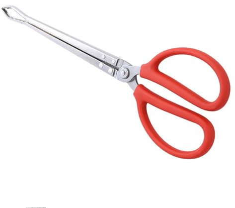 Toasis Stainless Steel Crabbing Tongs for Live Crabs Eels (Curved Tip)
