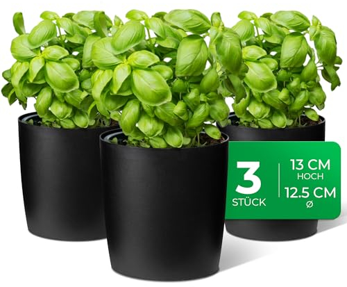 Novaliv Stilvolle 3er Set Kräutertopf aus Kunststoff Schwarz für Jede Fensterbank, frische Küchenkräuter, Kräutergarten für die küche, Kräuterbeet Indoor, Zimmerpflanzen, Pflanzentopf, Pflanzschale