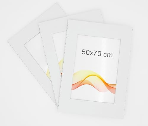 RAWWEST.BIS Lot de 3 Cadres Photo sans Bord 50x70 cm Cadre à Clips Rectangulaire pour Photo & Poster Verre Acrylique Incassable Idéal pour Salon, Cuisine, Bureau