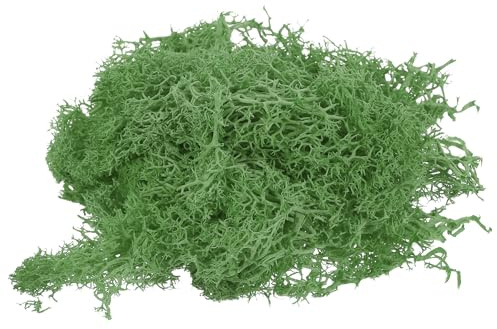PATIKIL 1.8 OZ Finto Muschio Conservato Renna Muschio Artificiale Muschio Lichene Centrotavola Decoro Finta Muschio per Vaso Piante Natale Artigianato Verde
