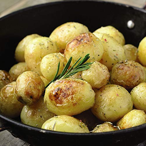 Seed Potatoes 'Rocket' First Early New Salad Potato Variety Solanum tuberosum Tender Tuber Easy to Grow Your Own Garden Vegetables Ideal for Containers 2kg Pack by Thompson and Morgan