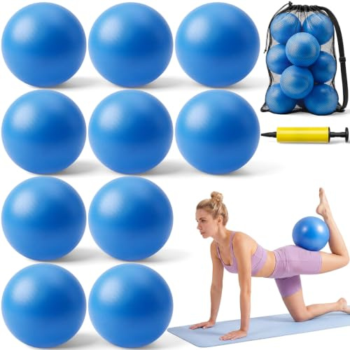 BBTO Juego de 10 Pelotas de Pilates 25 cm Tamaño Pequeño Antideslizantes, a Prueba de Explosiones con Red y Dispositivo de Inflado para Fitness Equilibrio y Fisioterapia (Azul)