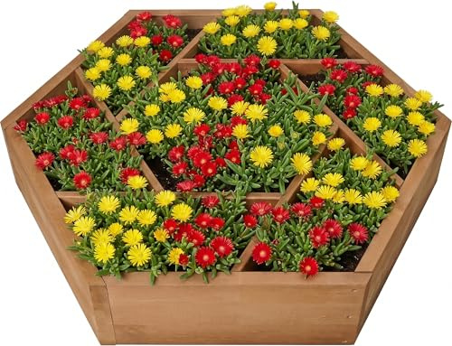 needs&wants® Multibädd med 7 planteringslådor sexkantig av trä för trädgård balkong terrass, örtrabatt blomrabatt låg, 100 x 100 x 18 cm, brun