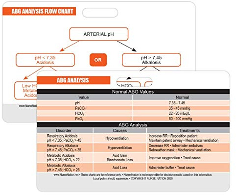 Arterial Blood Gas (ABG) Horizontal Badge Card - Excellent Resource for Nurses, Nursing Clinicals, and RN Students - Great Nursing School Supplies and Accessories