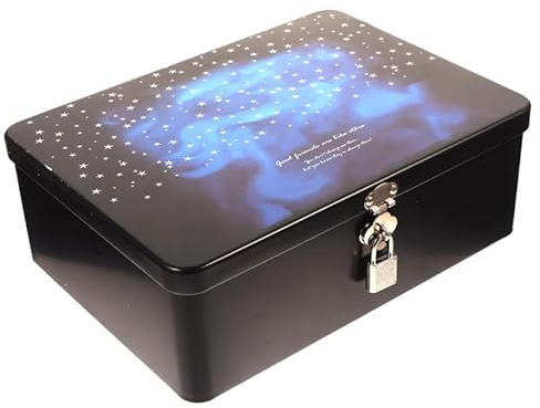 TOVINANNA Boîte Métallique À Verrouillage Organisateur De Bijoux Avec Couvercle Étui De Rangement En Filet 17.50 X 13.00 X 7.50 Cm Pour Boucles D’Oreilles Colliers Pièces Cadeaux