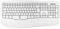 Phoenix K201 Teclado Ergonómico Inalámbrico 2.4Ghz QWERTY (White)