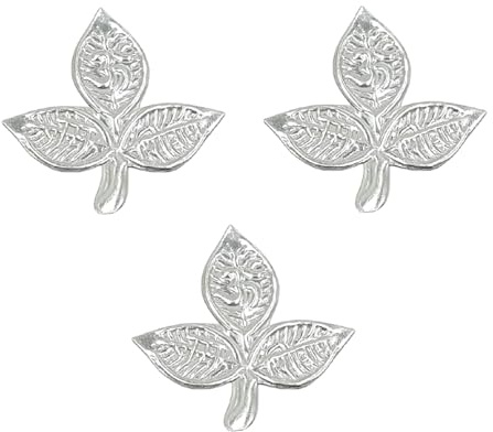 Pure Silver Om Namah Shivay Bel Patra for Shiva Puja, Traditional Hindu Style, 2 cm, Set of 3