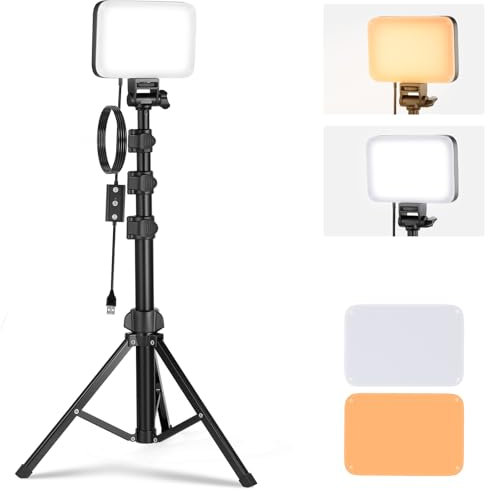 NEEWER Básico Panel Luz Vídeo LED Kit, Bicolor Estudio Luz Portátil Regulables con Soporte para Trípode y Filtros, 3200K~5600K CRI 95 750lux para Fotografía, Grabación, Transmisión en Vivo, BP66