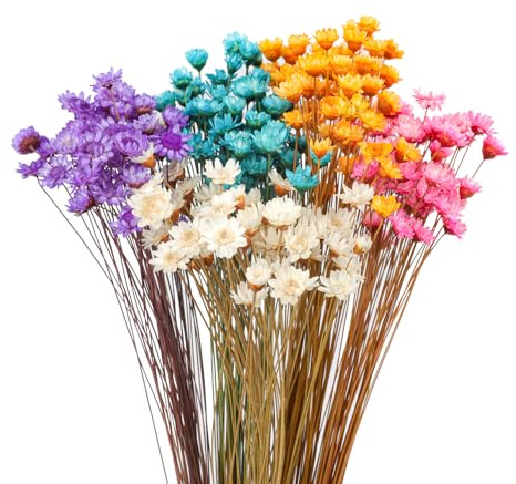 320 stjälkar torkade blommor brasiliansk liten stjärna tusensköna dekorativa torkade blommor mini tusensköna kamomill bukett för gör-det-själv hem bröllop dekor gåva (blandade färger)