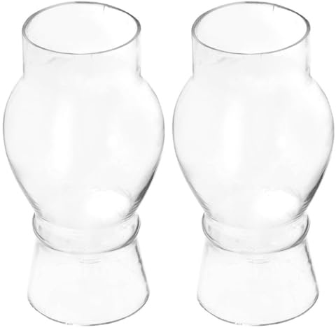 BESPORTBLE Pantallas de Vidrio Transparente para Lámpara de Queroseno 2 Piezas Pantalla Pequeña Vintage para Lámpara de Aceite Accesorio Resistente al Viento Adecuado para Decoración y