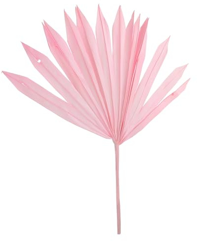 Healifty Foglie di Palma Secche Color Rosa per Decorazioni Floreali e Composizioni Artistiche, Materiale Naturale per Ornamenti da Parete e Allestimenti per Feste e Matrimoni, Decorazione