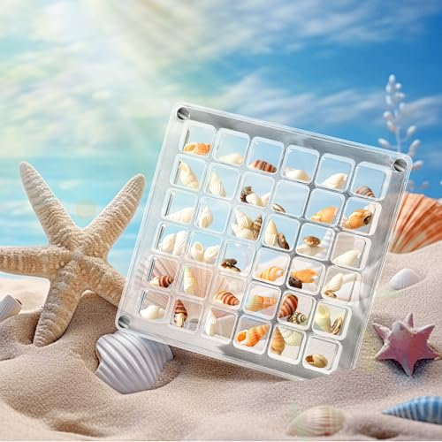 Caja de exhibición de Conchas Marinas magnéticas de acrílico, 36 Rejillas, Caja de exhibición de Conchas Marinas, Caja de exhibición de Conchas Marinas de acrílico con Apertura de Doble Cara