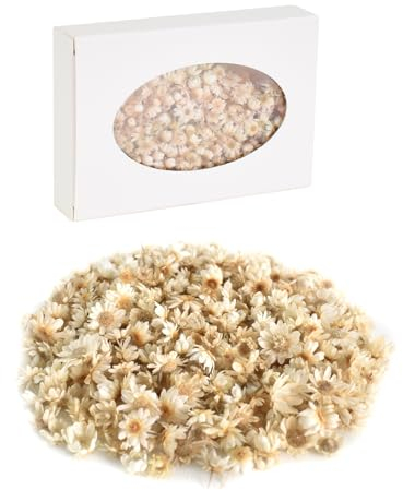 200 Pz Fiori Naturali Secchi, Piccola Stella Fiore, Fiori Secchi Decorativi Piccoli, Fiori Secchi teste, Piante Margherita per Resina Epossidic, Realizzare Candele, Ornamenti Artigianali (A)