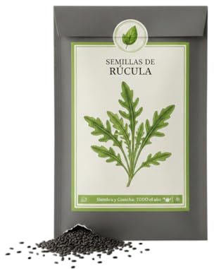 DECOALIVE Semillas de Rúcula para Cultivo Doméstico y Huerto Urbano Productivo