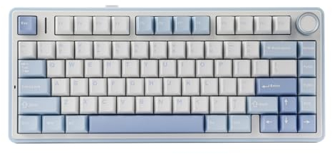 EPOMAKER x Aula F75 Teclado Mecánico 75% Inalámbrico para Juegos, Bluetooth/2.4GHz/USB-C, RGB, Gasket, Intercambiable en Caliente, Perilla, Acolchado de 5 Capas, NKRO (Sea Salt Blue, Greywood Switch)