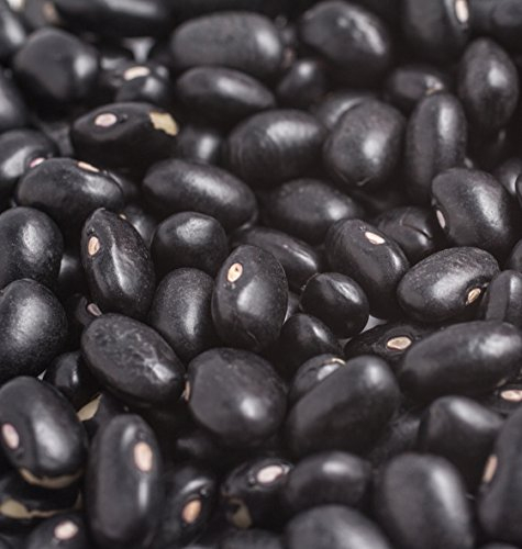 Seedeo® Buschbohne Black Turtle“(Phaseolus vulgaris L.) 30 Samen BIO