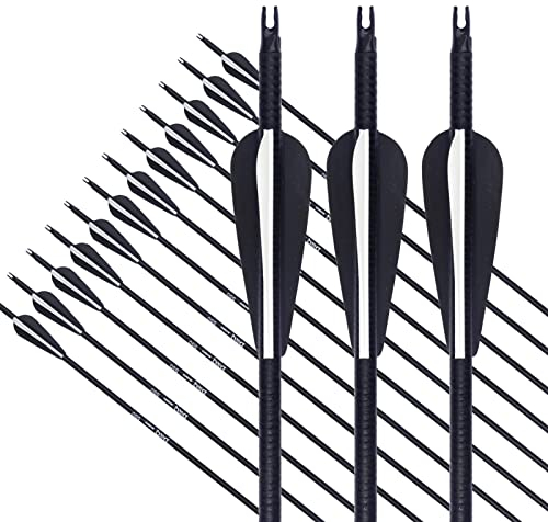 EinMAIQi Pfeile 32 Zoll Bogenpfeile für Bogenschießen Glasfaser Jagdpfeile mit Kunststoffbefiederung für Recurvebogen Compoundbogen Langbogen, 12 pcs