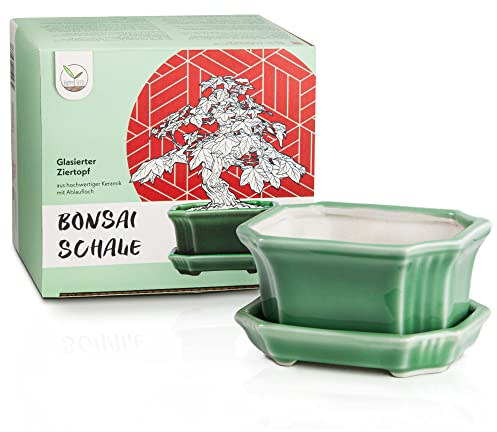 Pot pour bonsai (petit) en céramique avec soucoupe en vert jade - Pot angulaire pour une présentation parfaite de votre bonsai d'intérieur - 11 x 6,5 x 9 cm