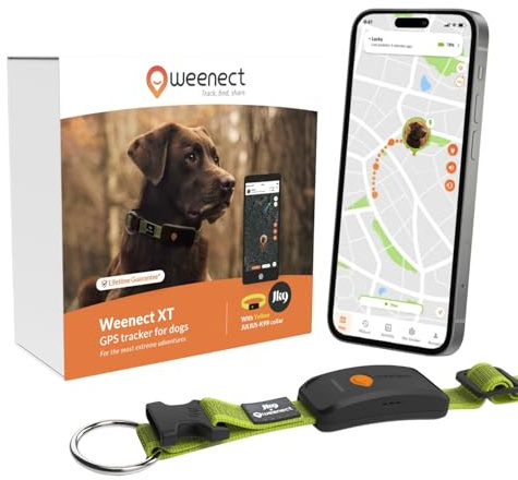 Weenect Dog XT - NUOVO Collare GPS per Cani | Antenna XL | Impermeabile | Collare giallo ultra-resistente integrato Julius-K9 | Garanzia a vita | Abbonamento richiesto