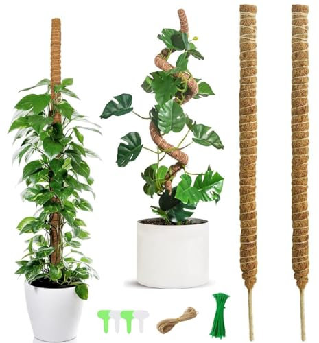 HTRTRR 2 Pezzi 120 cm Totem Bastoncino di Cocco Pieghevoli, Totem Palo di Cocco Bastoncino per Monstera Piante Rampicanti Supporto Estensione, con 4 Etichette per Piante 40 Fascette e 2 Corde 10m