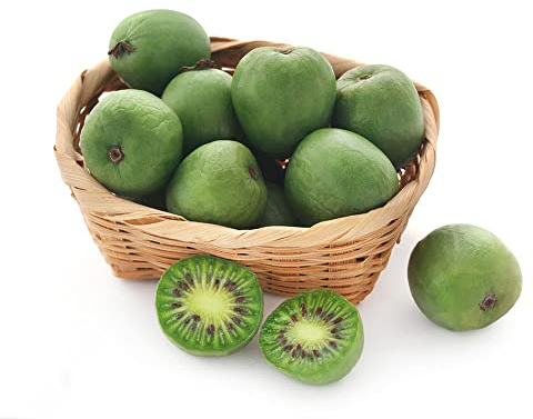 Kiwi Samen, Kiwibeeren Pflanze, Kiwibeere - Actinidia Chinensis - Säulenobst Bonsai, Baumschutz Winter Gewächshaus Balkon, Winterhart Bio Saatgut, Seltene Samen Ingarden - 200 Stück