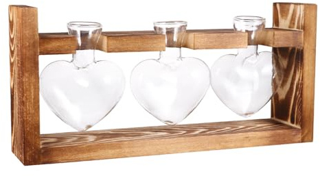 Jarrón hidropónico de Cristal en Forma de corazón, con Soporte de Madera para decoración de Escritorio de casa, Oficina, Boda, jarrón de Cristal con Soporte de Madera