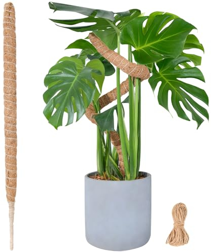 120cm Moosstab Monstera für Pflanzen, SproutMaven Biegsame Monstera Rankhilfe mit Zubehör für Kletterpflanzen, Handgefertigte Kokosstab Monstera Moss Pole für Indoor Pflanzen